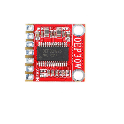 OEP30W Mono Digital Power Amplifier Board Module Class D