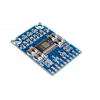 XH-M562 TPA3116D2 Digital Audio Amplifier Board Class D 50W