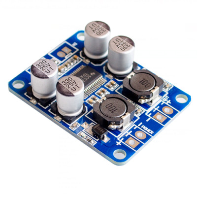 TPA3118 PBTL mono digital amplifier board 1X60W 12V 24V POWER AMP