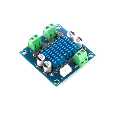 XH-A232 30w + 30w TPA3110 Digital Board DC 8-26V 3A Stereo Audio Power Amplifier