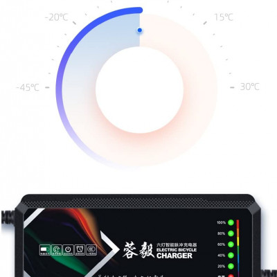 48V 20Ah ebike Electric Vehicle Charger With 6 Light Power Display Current Protection FOR lead aCID